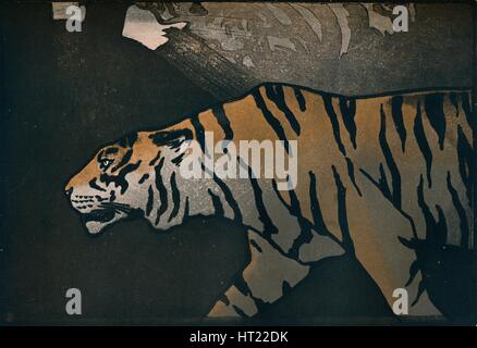 'The Tiger', c1900. Artist: John Dickson Batten. Stock Photo