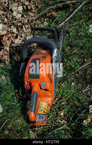 Tree surgeons equipment, Tree climber, arborist. Tree surgeons carry out all kinds of tree work including planting, felling, care and maintenance, Stock Photo