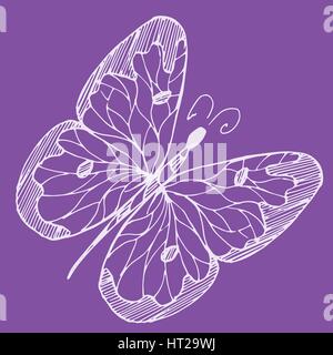 Hand drawn sketch style Butterfly. Retro hand-drawn vector illustration. Doodle and zentangle art. Stock Vector