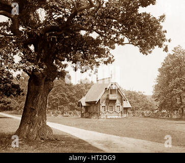 Old Cabin In The Forest Stock Photo 232937545 Alamy
