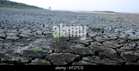 Chennai, India. 6th Mar, 2017. Picture shows arid Chembarabakkam reservoir, the major water source for Chennai, capital of southern Indian state of Tamil Nadu, March 6, 2017. Southern India states including Karnataka, Kerala and Tamil Nadu are expected to face severe drought this coming summer, forecasted local meteorologists. Credit: Xinhua/Alamy Live News Stock Photo