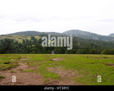 Ooty mountain peaks Stock Photo