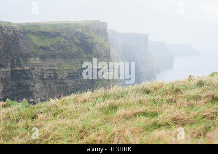 Cliffs of Moher in the Fog Stock Photo