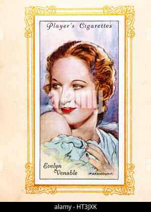 Evelyn Venable, American actress (1913-1993), 1934. Artist: Unknown. Stock Photo