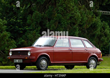 1981 Austin Maxi Artist: Unknown. Stock Photo