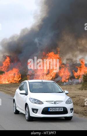2010 Mazda 2 Sport, controlled burning in New Forest Artist: Unknown. Stock Photo