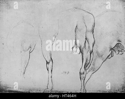 'Studies of Horses' Legs', c1480 (1945). Artist: Leonardo da Vinci. Stock Photo