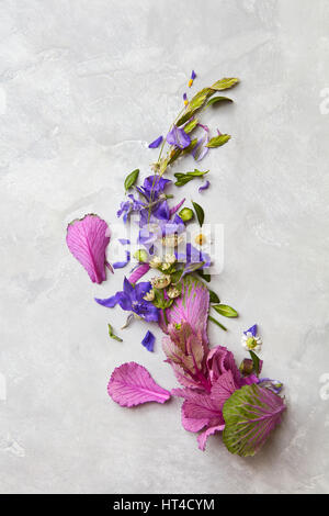 Composition of flowers on grey background Stock Photo