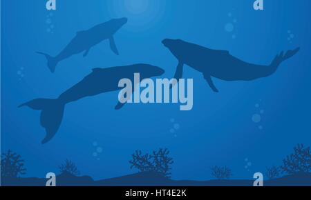 Beauty landscape underwater with whale silhouettes Stock Vector Image ...