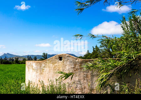 Weathered old  farm dam wall in green field close up with reeds Stock Photo