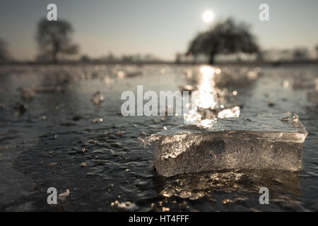 Heron Pond in Bushy Park, frozen over on a winters morning Stock Photo