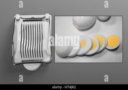 Egg slicer on gray background Stock Photo