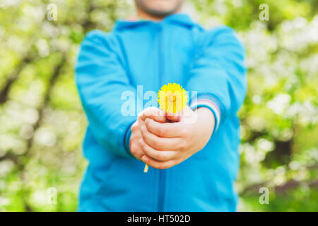 Closeup of small hands holding yellow dandelion flower. Anonymous funny little boy isolated over green blooming trees background. Spring time concept. Stock Photo