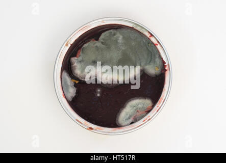 Mould on strawberry jam in a small container Stock Photo