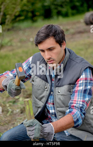 man hammering wooden stake into ground Stock Photo