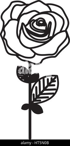 figure rose with petals and leaves icon Stock Vector