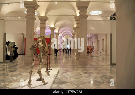 Exhibition Hall of Lincoln Gallery at Smithsonian American Art Museum aka SAAM at Washington DC. USA Stock Photo