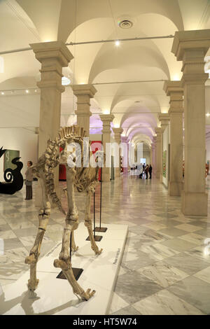 Exhibition Hall of Lincoln Gallery at Smithsonian American Art Museum aka SAAM at Washington DC. USA Stock Photo