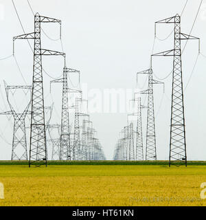 Rows of electric pylons with high voltage cables crossing an agricultural landscape part of the electricity grid distributing power supplies Stock Photo