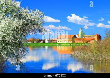 Spring blossom tree on coast of river Sava in Nature park Lonjsko polje, Croatia Stock Photo