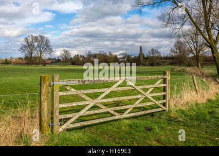 A 5 bar gate in a field, Mendham, Suffolk. Stock Photo