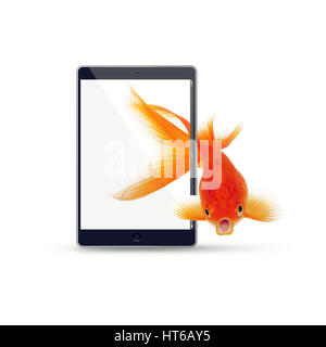 goldfish escaping from a tablet on a white background