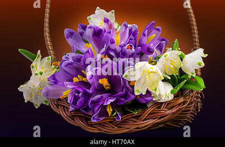 Bouquet of snowdrops, isolated on white Stock Photo