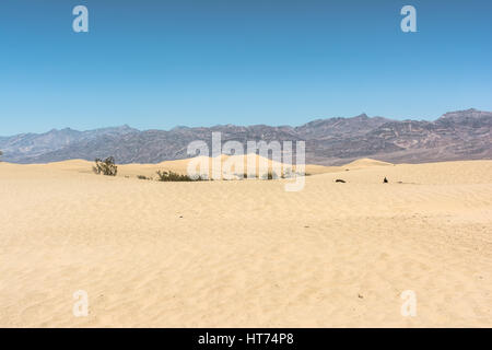 The sand dunes in Death Valley National Park, California Stock Photo