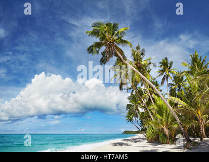 Tropical beach with palm trees and white sand Stock Photo
