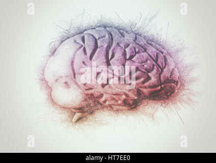abstract painting af a brain colorful lines Stock Photo