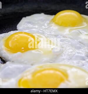 Fried eggs in a frying pan. Process of cooking eggs closeup. Food Background Stock Photo