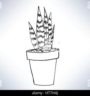 Isolated hand drawn lineart a potted plant Stock Vector