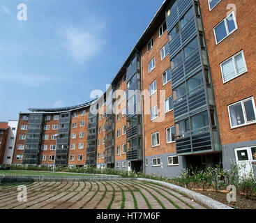 Eco-Friendly Apartment Renovations & Sustainable Home Improvements Ideas - Energy Generating Apartment Renovations