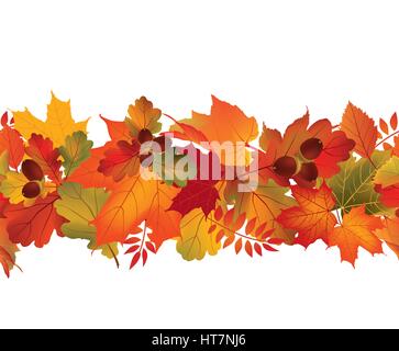 Fall seamless border Autumn leaves background Season flora decor Stock Vector