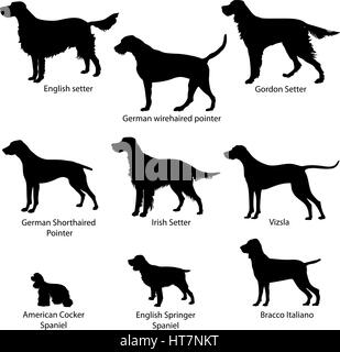 Dog icon set. Gun dogs vector illustration. Silhouette Collection of gundog. Stock Vector