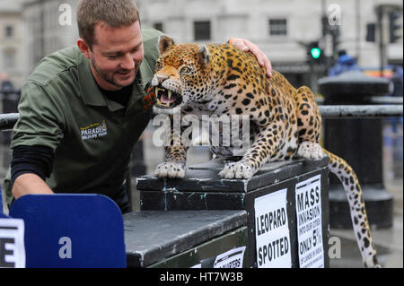 London, UK. 8th Mar, 2017. Giles Clark, Managing Director of The Big Cat Sanctuary, poses with an animatronic leopard in Trafalgar Square as Nat Geo WILD unveils the world's first hyper realistic animatronic leopard to mark the launch of Big Cat Week (6-12 March), in association with charity the Big Cats Initiative. Credit: Stephen Chung/Alamy Live News Stock Photo