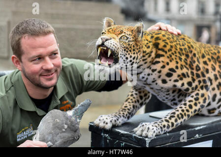 London, UK. 8th Mar, 2017. Giles Clark, Managing Director of The Big Cat Sanctuary, poses with an animatronic leopard in Trafalgar Square as Nat Geo WILD unveils the world's first hyper realistic animatronic leopard to mark the launch of Big Cat Week (6-12 March), in association with charity the Big Cats Initiative. Credit: Stephen Chung/Alamy Live News Stock Photo