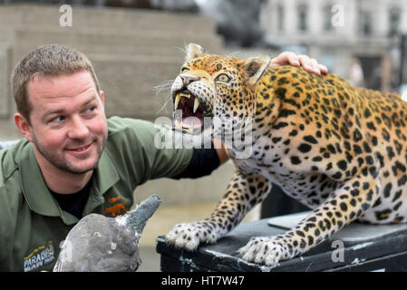 London, UK. 8th Mar, 2017. Giles Clark, Managing Director of The Big Cat Sanctuary, poses with an animatronic leopard in Trafalgar Square as Nat Geo WILD unveils the world's first hyper realistic animatronic leopard to mark the launch of Big Cat Week (6-12 March), in association with charity the Big Cats Initiative. Credit: Stephen Chung/Alamy Live News Stock Photo