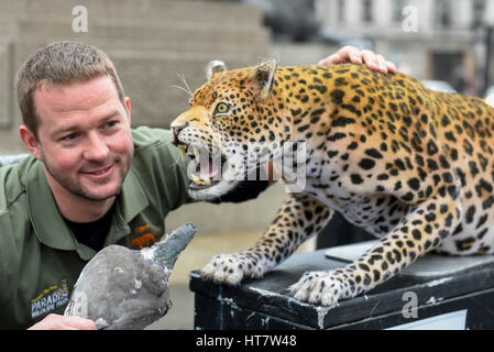 London, UK. 8th Mar, 2017. Giles Clark, Managing Director of The Big Cat Sanctuary, poses with an animatronic leopard in Trafalgar Square as Nat Geo WILD unveils the world's first hyper realistic animatronic leopard to mark the launch of Big Cat Week (6-12 March), in association with charity the Big Cats Initiative. Credit: Stephen Chung/Alamy Live News Stock Photo