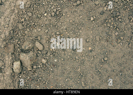 Close up wet stony soil in a spring, abstract background Stock Photo
