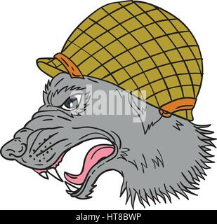 Drawing sketch style illustration of grey wolf head wearing world war two helmet growling viewed from the side set on isolated white background. Stock Vector