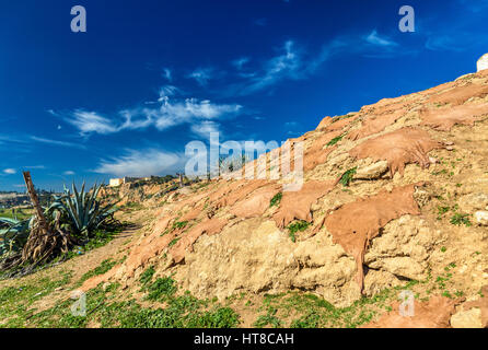 Animal skins drying underneath Marinid Tombs in Fes, Morocco Stock Photo