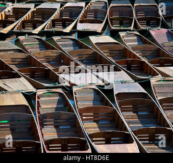 Punts tied up on the river isis or thames