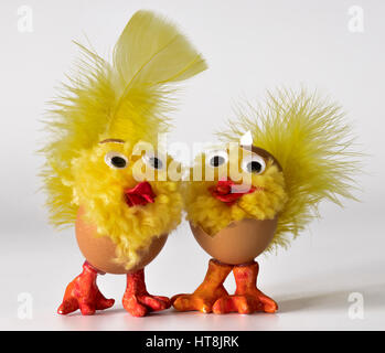 Pair of chicks isolated on white background Stock Photo