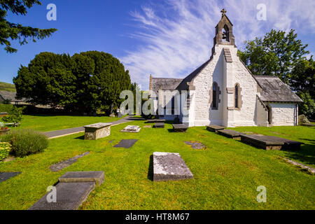 The churchyard of St Digain's parish church in Llangernyw and an ancient yew tree, estimated to be around 4,000 years old Stock Photo