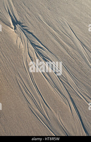 Feathery water sand pattern on a beach low tide. Pattern made by sea water retreating off the beach and the channels it forms. UK Stock Photo