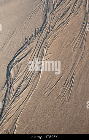 Feathery water sand pattern on a beach low tide. Pattern made by sea water retreating off the beach and the channels it forms. UK Stock Photo