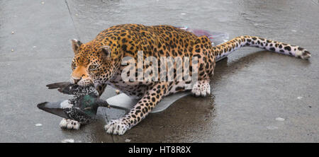 London, UK. 8 March 2017. Nat Geo WILD unveils the world’s first hyper realistic animatronic leopard in London's Trafalgar Square to mark the launch of Big Cat Week (6-12 March), in association with charity the Big Cats Initiative. It was created by John Nolan Studio, the geniuses behind many Harry Potter and other Hollywood animatronics. Stock Photo