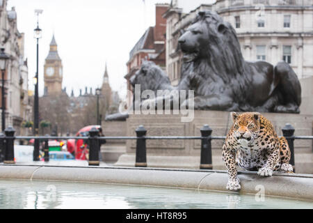 London, UK. 8 March 2017. Nat Geo WILD unveils the world’s first hyper realistic animatronic leopard in London's Trafalgar Square to mark the launch of Big Cat Week (6-12 March), in association with charity the Big Cats Initiative. It was created by John Nolan Studio, the geniuses behind many Harry Potter and other Hollywood animatronics. Stock Photo