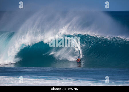 A body boarder catching a wave during a large swell at Pipeline on the North Shore. Stock Photo